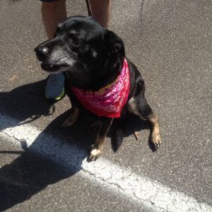 Meet your Posher, Robbin